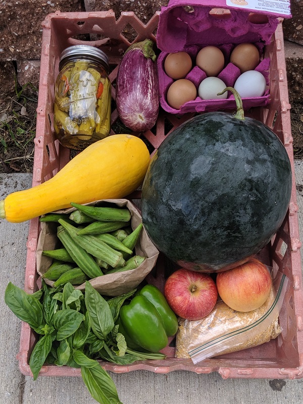 Late summer CSA and catch us at the market on Saturday!