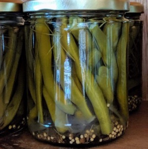 Pickled Green Beans